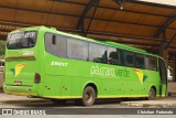 Pássaro Verde 29017 na cidade de Coimbra, Minas Gerais, Brasil, por Christian  Fortunato. Número da foto: #:id.