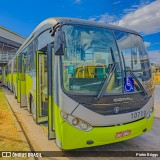 Milênio Transportes 10719 na cidade de Belo Horizonte, Minas Gerais, Brasil, por Pietro Briggs. Número da foto: #13166307.
