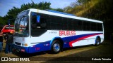 Brubuss Transportes 100 na cidade de Campinas, São Paulo, Brasil, por Roberto Teixeira. Número da foto: #13166519.