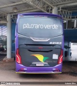 Pássaro Verde 23183 na cidade de Santa Bárbara, Minas Gerais, Brasil, por Antonio Silva. Número da foto: #13166220.