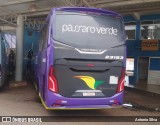 Pássaro Verde 23183 na cidade de Santa Bárbara, Minas Gerais, Brasil, por Antonio Silva. Número da foto: #13166207.