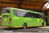Pássaro Verde 19162 na cidade de Coimbra, Minas Gerais, Brasil, por Christian  Fortunato. Número da foto: #13167688.