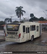 Viação Antonina 24414 na cidade de Curitiba, Paraná, Brasil, por Everton S de Jesus. Número da foto: #13164919.