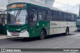 Transunião Transportes 5 6256 na cidade de São Paulo, São Paulo, Brasil, por Murillo Salvatierra. Número da foto: #13166416.