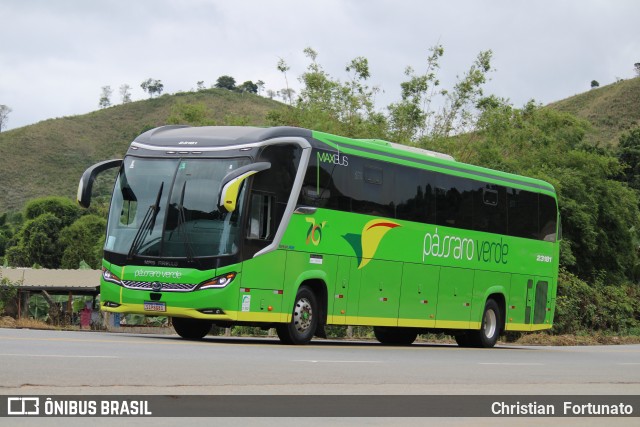 Pássaro Verde 23181 na cidade de Coimbra, Minas Gerais, Brasil, por Christian  Fortunato. Número da foto: #13169991.
