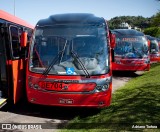 Transporte Coletivo Glória BE704 na cidade de Curitiba, Paraná, Brasil, por Adriano Tortora. Número da foto: #13168545.