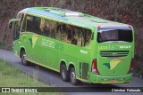 Pássaro Verde 19147 na cidade de Coimbra, Minas Gerais, Brasil, por Christian  Fortunato. Número da foto: #13170004.