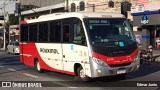 Rouxinol 2515 na cidade de Belo Horizonte, Minas Gerais, Brasil, por Edmar Junio. Número da foto: #:id.