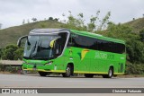 Pássaro Verde 23181 na cidade de Coimbra, Minas Gerais, Brasil, por Christian  Fortunato. Número da foto: #13169991.