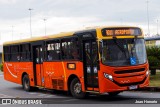 Transrosa 1710 na cidade de Belo Horizonte, Minas Gerais, Brasil, por Joao Honorio. Número da foto: #13169864.