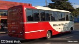 Rouxinol 2515 na cidade de Belo Horizonte, Minas Gerais, Brasil, por Edmar Junio. Número da foto: #:id.