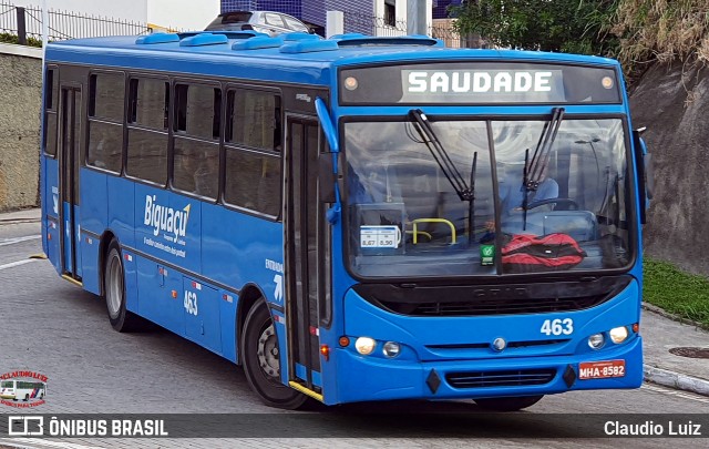 Biguaçu Transportes Coletivos Administração e Participação 463 na cidade de Florianópolis, Santa Catarina, Brasil, por Claudio Luiz. Número da foto: #13172806.