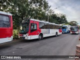 Suzantur Santo André  na cidade de Itaperuna, Rio de Janeiro, Brasil, por Gian Carlos. Número da foto: #13171205.