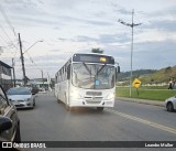 Fazenda Koga 6E70 na cidade de Cajati, São Paulo, Brasil, por Leandro Muller. Número da foto: #13171554.