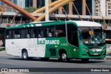 Viação Galo Branco RJ 181.015 na cidade de Rio de Janeiro, Rio de Janeiro, Brasil, por Matheus Souza. Número da foto: #13173267.