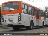 Expresso Nossa Senhora da Glória B06055 na cidade de Nova Iguaçu, Rio de Janeiro, Brasil, por Augusto César. Número da foto: #13171923.