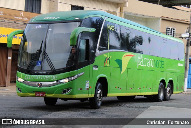 Pássaro Verde 19147 na cidade de Coimbra, Minas Gerais, Brasil, por Christian  Fortunato. Número da foto: #13173464.