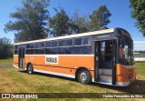 Transporte Rural 4600 na cidade de Artur Nogueira, São Paulo, Brasil, por Helder Fernandes da Silva. Número da foto: #:id.