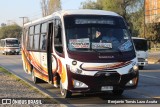 Bupesa 265 na cidade de Maipú, Santiago, Metropolitana de Santiago, Chile, por Benjamín Tomás Lazo Acuña. Número da foto: #13175148.