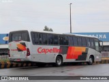 Transportes Capellini 13393 na cidade de Taquarituba, São Paulo, Brasil, por Weslley Kelvin Batista. Número da foto: #13173582.