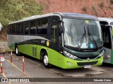 Turin Transportes 2477 na cidade de Conselheiro Lafaiete, Minas Gerais, Brasil, por Eduardo Vieira. Número da foto: #13174847.