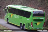 Pássaro Verde 16903 na cidade de Coimbra, Minas Gerais, Brasil, por Christian  Fortunato. Número da foto: #13173462.