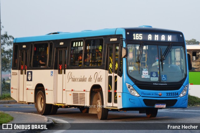 Princesinha do Vale 222334 na cidade de Resende, Rio de Janeiro, Brasil, por Franz Hecher. Número da foto: #13176212.