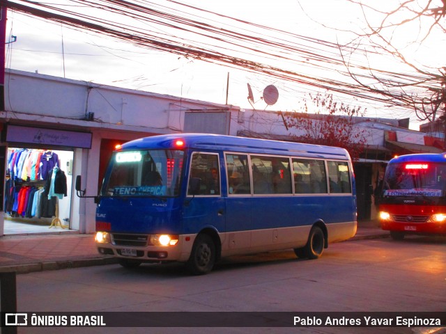 Trans Cebra 88 na cidade de Santa Cruz, Colchagua, Libertador General Bernardo O'Higgins, Chile, por Pablo Andres Yavar Espinoza. Número da foto: #13176367.