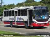 Empresa de Transportes Limousine Carioca RJ 129.046 na cidade de Rio de Janeiro, Rio de Janeiro, Brasil, por Gabriel Oliveira da Silva. Número da foto: #13177455.