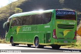 Pássaro Verde 18915 na cidade de Coimbra, Minas Gerais, Brasil, por Christian  Fortunato. Número da foto: #13177441.