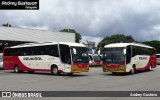 Rouxinol 2020 na cidade de Belo Horizonte, Minas Gerais, Brasil, por Andrey Gustavo. Número da foto: #13177803.
