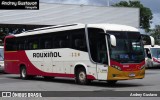 Rouxinol 2020 na cidade de Belo Horizonte, Minas Gerais, Brasil, por Andrey Gustavo. Número da foto: #13177805.