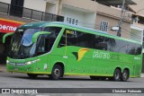 Pássaro Verde 16913 na cidade de Coimbra, Minas Gerais, Brasil, por Christian  Fortunato. Número da foto: #13175654.