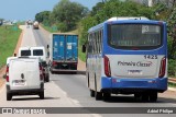 Primeira Classe Transportes 1425 na cidade de Cezarina, Goiás, Brasil, por Adriel Philipe. Número da foto: #13175897.