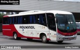 Rouxinol 2230 na cidade de Belo Horizonte, Minas Gerais, Brasil, por Andrey Gustavo. Número da foto: #13177806.
