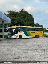 Empresa Gontijo de Transportes 19515 na cidade de Carpina, Pernambuco, Brasil, por Pedro Francisco Junior. Número da foto: #13177895.