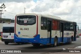 Auto Viação Monte Cristo AL-043 na cidade de Ananindeua, Pará, Brasil, por Fabio Soares. Número da foto: #13177656.