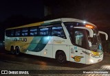 Empresa Gontijo de Transportes 19195 na cidade de Belo Horizonte, Minas Gerais, Brasil, por Maurício Nascimento. Número da foto: #13102335.