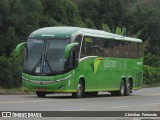 Pássaro Verde 19153 na cidade de Coimbra, Minas Gerais, Brasil, por Christian  Fortunato. Número da foto: #13101959.