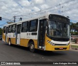 Belém Rio Transportes BD-198 na cidade de Belém, Pará, Brasil, por Carlos Welington Silva Melo. Número da foto: #13101047.