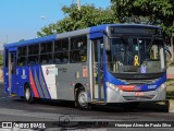 Transportes Capellini 12017 na cidade de Campinas, São Paulo, Brasil, por Henrique Alves de Paula Silva. Número da foto: #13100765.