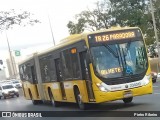 Viação Pioneira 234010 na cidade de Brasília, Distrito Federal, Brasil, por Pietro Ribeiro. Número da foto: #13099760.