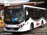 Trectur 1806 na cidade de Três Corações, Minas Gerais, Brasil, por Fábio Mateus Tibúrcio. Número da foto: #13101464.