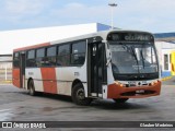 Viação Paraúna 3735 na cidade de Goiânia, Goiás, Brasil, por Glauber Medeiros. Número da foto: #13101706.