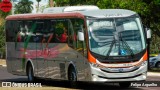 Viatur Transporte e Turismo 16124 na cidade de Campo Grande, Mato Grosso do Sul, Brasil, por Felipe Arguelho. Número da foto: #13100076.