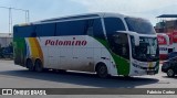 Expreso Internacional Palomino 7053 na cidade de Santiago de Surco, Lima, Lima Metropolitana, Peru, por Fabricio Cortez. Número da foto: #13102205.