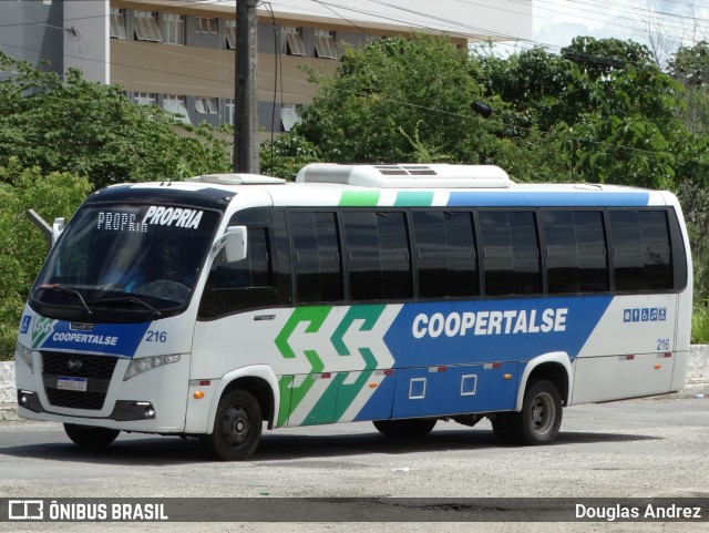 Coopertalse 216 na cidade de Aracaju, Sergipe, Brasil, por Douglas Andrez. Número da foto: #13179427.