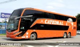 Catedral Turismo 24429 na cidade de São Paulo, São Paulo, Brasil, por Vicente de Paulo Alves. Número da foto: #13180536.