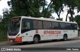 VINSAL - Viação Nossa Senhora Aparecida RJ 187.005 na cidade de Barra Mansa, Rio de Janeiro, Brasil, por Hélio  Teodoro. Número da foto: #13180610.