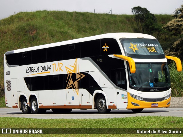 Estrela Dalva Tur 2301 na cidade de Petrópolis, Rio de Janeiro, Brasil, por Rafael da Silva Xarão. Número da foto: #13103525.